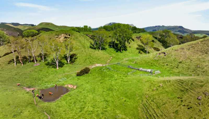 559 Maraetotara Road, Maraetotara
