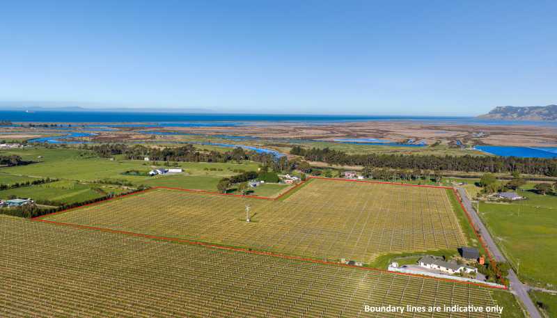 687 Dillons Point Road, Blenheim