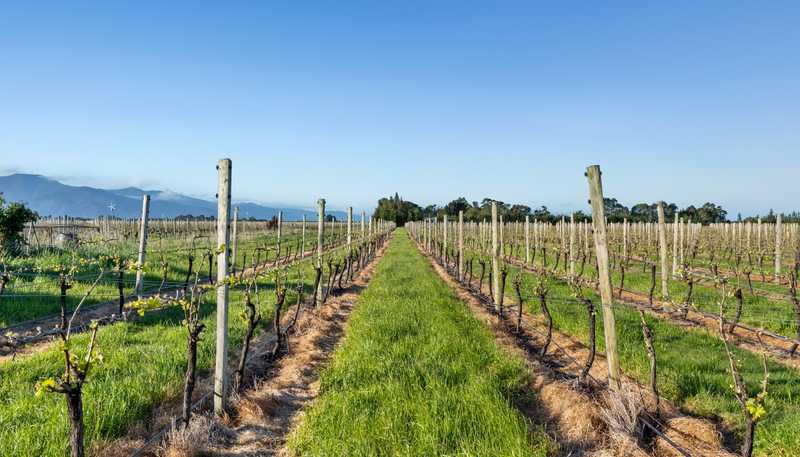 687 Dillons Point Road, Blenheim