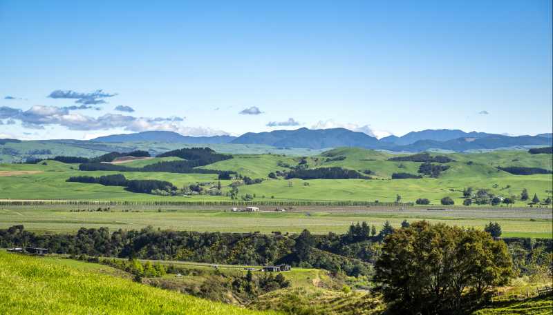  Aorangi Road (Lot 2), Maraekakaho