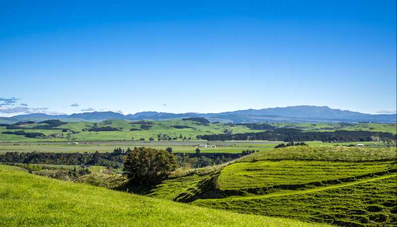  Aorangi Road (Lot 2), Maraekakaho