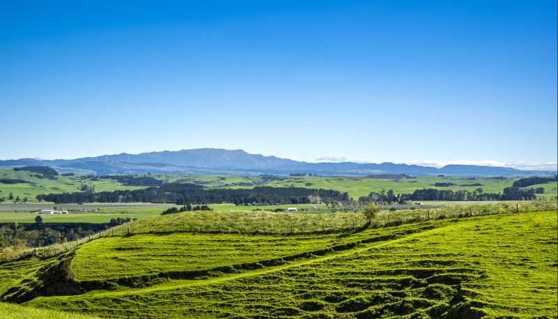  Aorangi Road (Lot 2), Maraekakaho