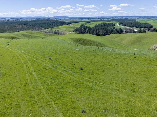 937 AB Wiltsdown Road, Wharepapa South