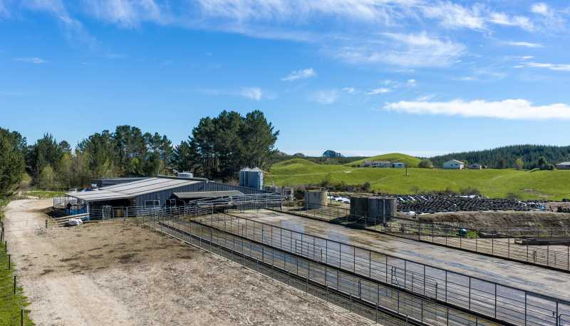 937 AB Wiltsdown Road, Wharepapa South