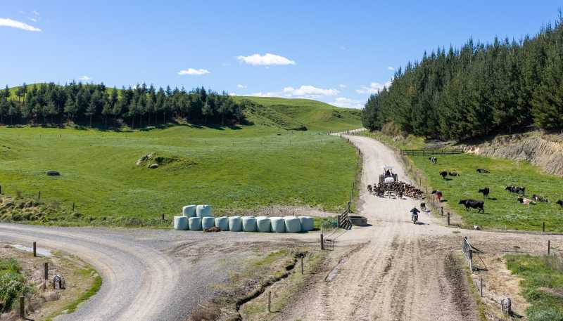 937 AB Wiltsdown Road, Wharepapa South