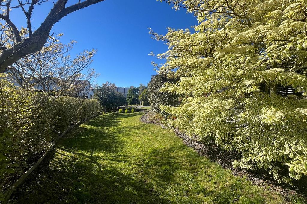 Renovated 4-bedroom family home in Linden Grove 2