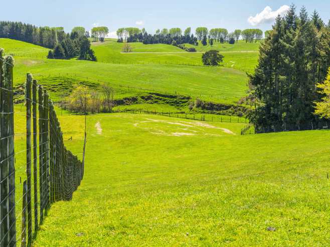 344 Palmer Mill Road, Wairakei
