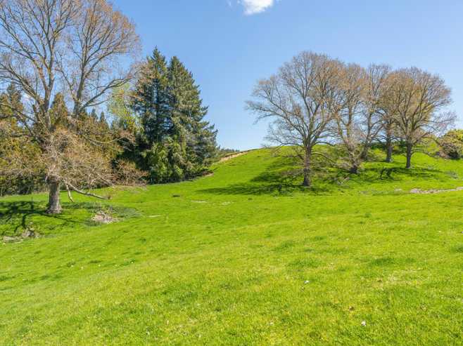 344 Palmer Mill Road, Wairakei