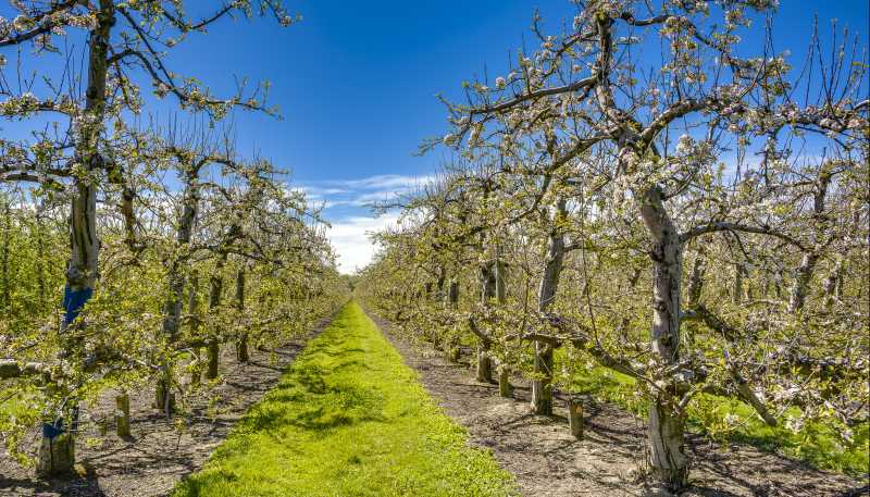 260 Evenden Road, Twyford