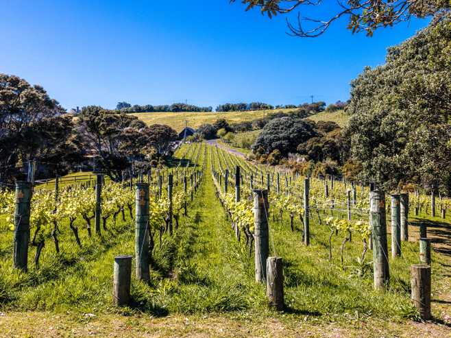 211A Te Whau Drive, Waiheke Island
