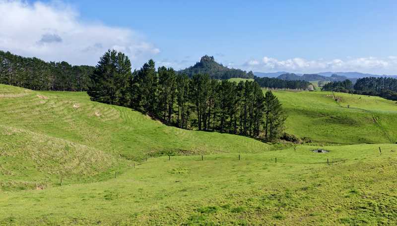 2593 Tapu Coroglen Road, Coroglen