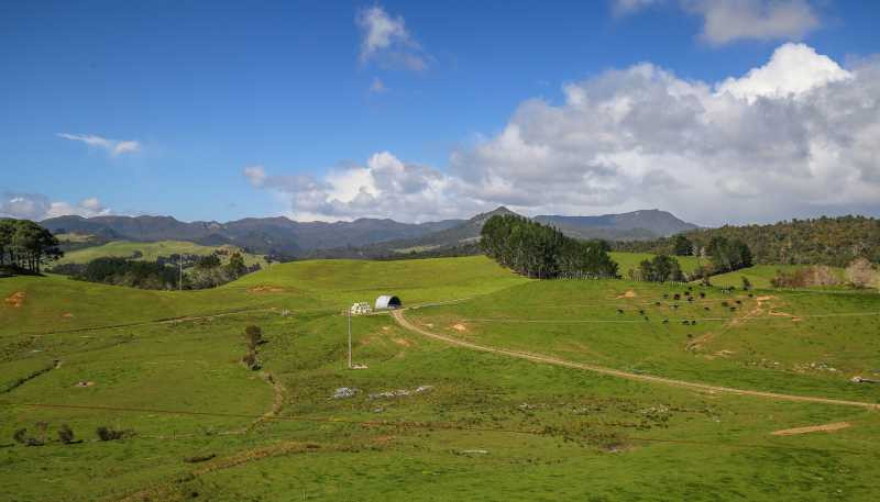 2593 Tapu Coroglen Road, Coroglen