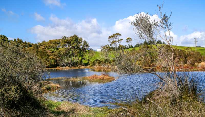 2593 Tapu Coroglen Road, Coroglen