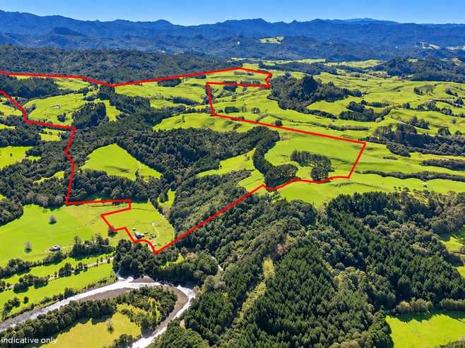 2593 Tapu Coroglen Road, Coroglen