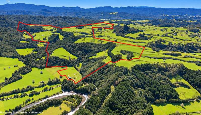 2593 Tapu Coroglen Road, Coroglen