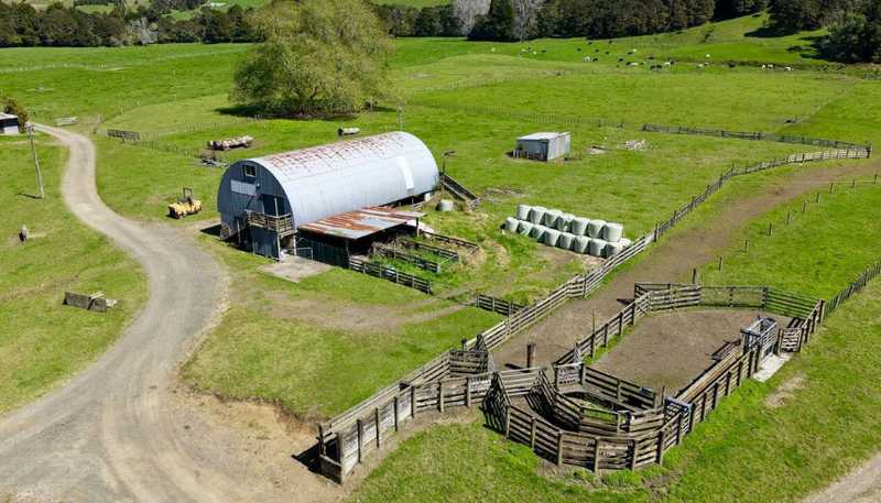 2593 Tapu Coroglen Road, Coroglen