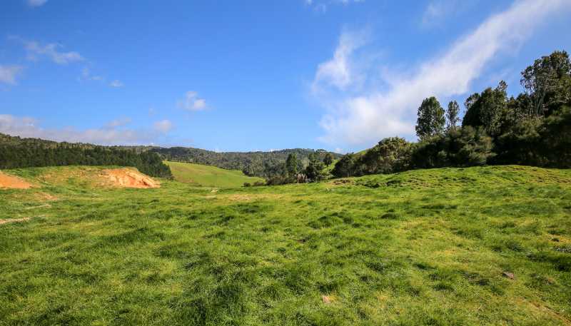 2593 Tapu Coroglen Road, Coroglen