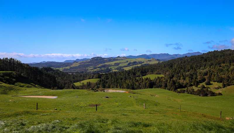 2593 Tapu Coroglen Road, Coroglen
