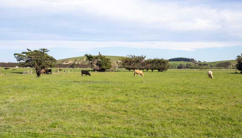 63 Millers Road, Motukarara