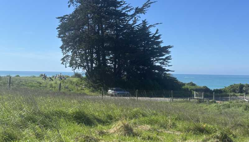  Beach Road, Oamaru