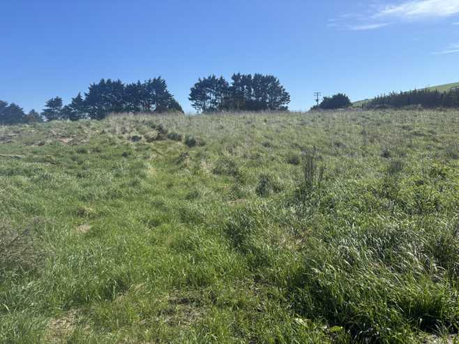  Beach Road, Oamaru