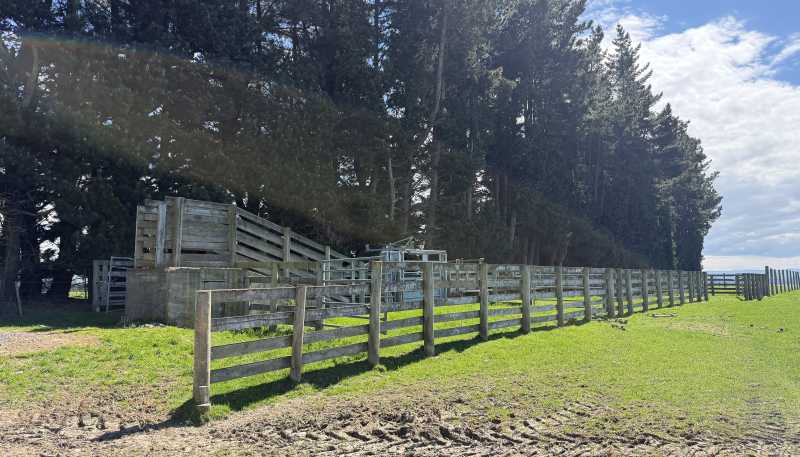 1680 Mahinerangi Road, Lee Stream