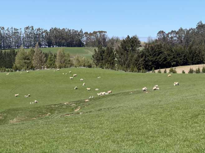 1680 Mahinerangi Road, Lee Stream