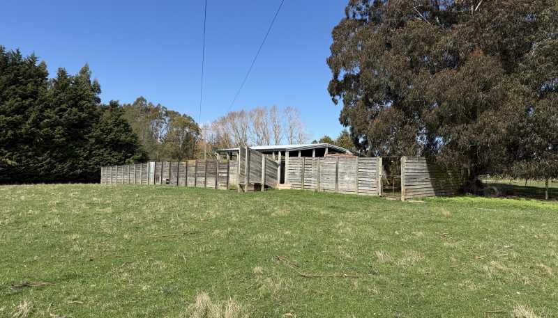 1680 Mahinerangi Road, Lee Stream