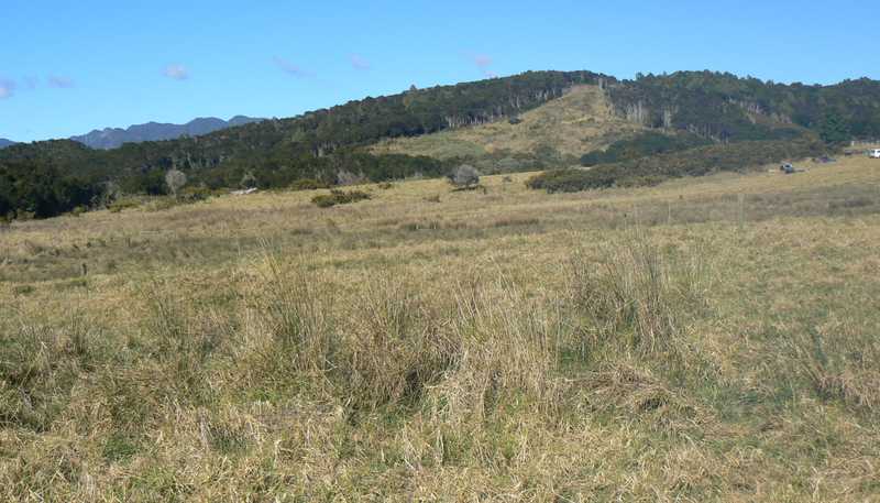 714 Duddy Road, Rawene
