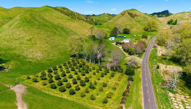 707 Pikowai Road, Pikowai