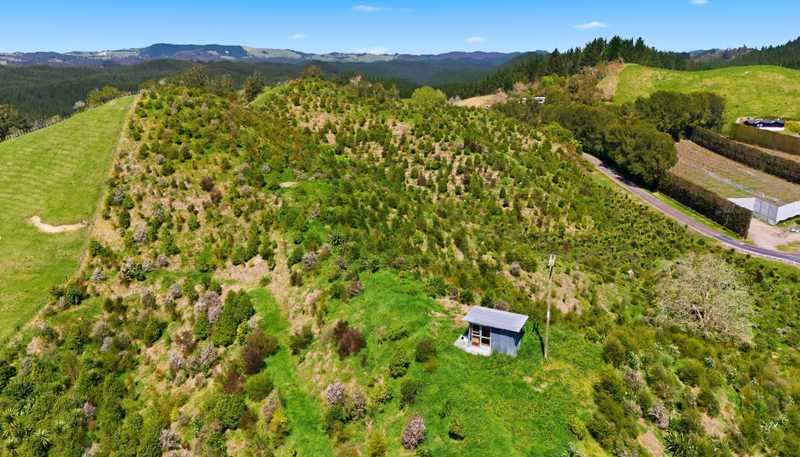 707 Pikowai Road, Pikowai