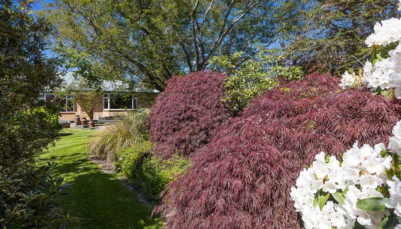 116 Wingatui Road, Mosgiel