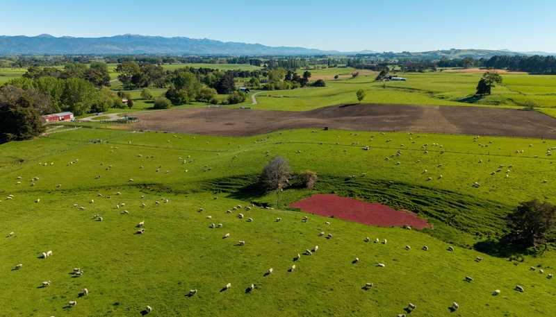 1572 Ponatahi Road, Carterton