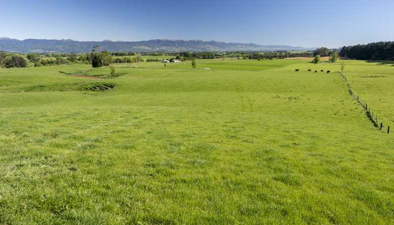 1572 Ponatahi Road, Carterton