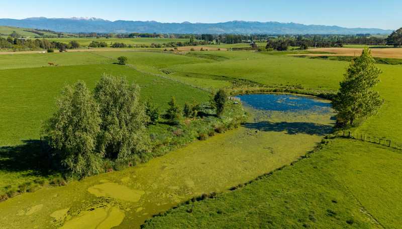 1572 Ponatahi Road, Carterton