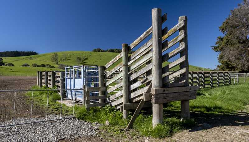 1572 Ponatahi Road, Carterton