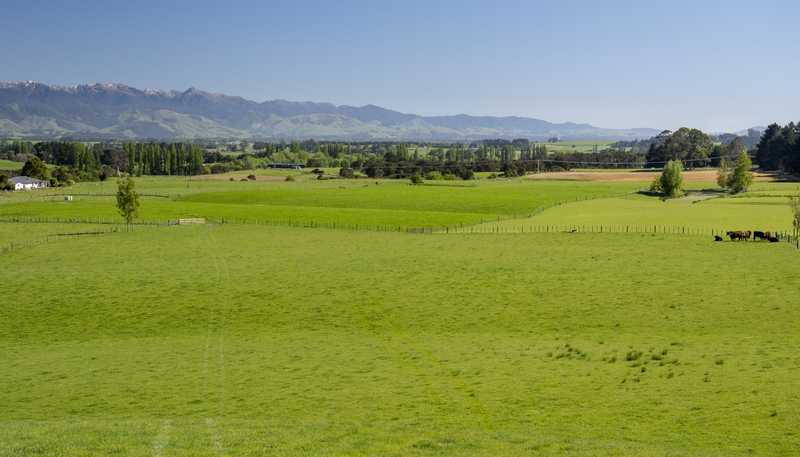 1572 Ponatahi Road, Carterton