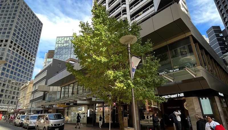  Level 13.1, 342 Lambton Quay, Wellington Central