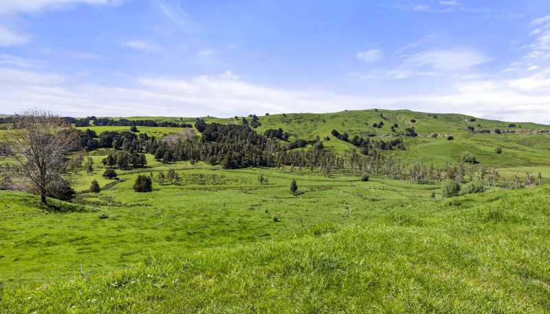 246 Allen and Eyre Road, Onewhero