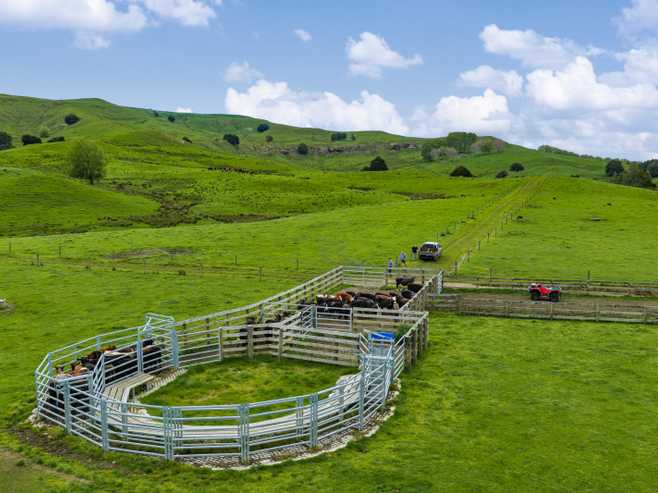 246 Allen and Eyre Road, Onewhero