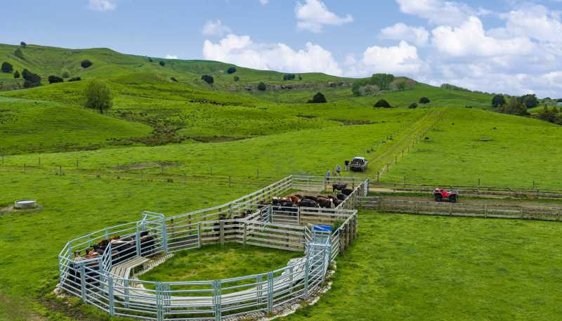 246 Allen and Eyre Road, Onewhero