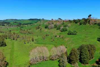 246 Allen and Eyre Road, Onewhero