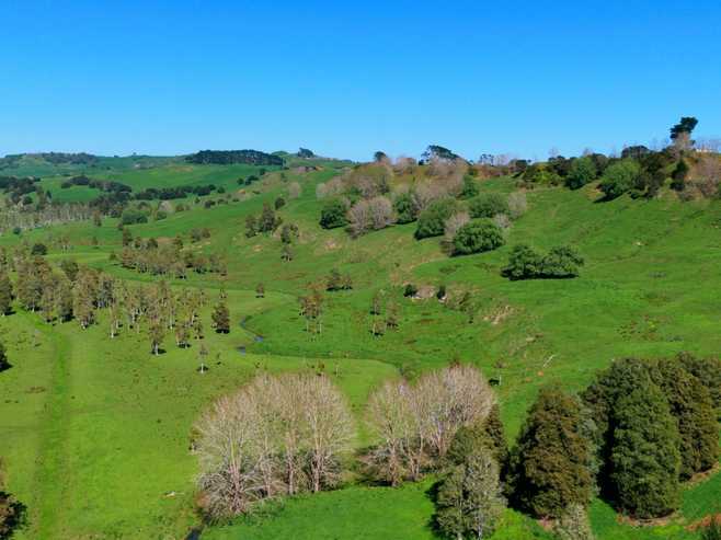 246 Allen and Eyre Road, Onewhero