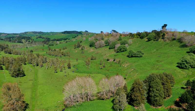 246 Allen and Eyre Road, Onewhero