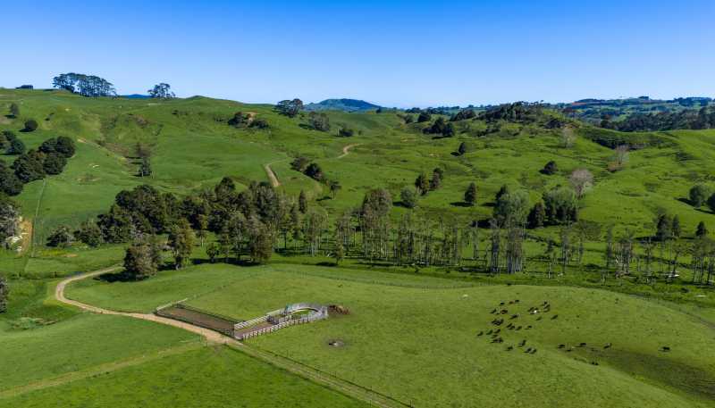 246 Allen and Eyre Road, Onewhero