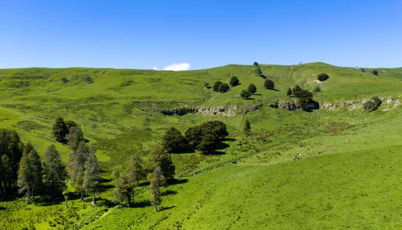246 Allen and Eyre Road, Onewhero