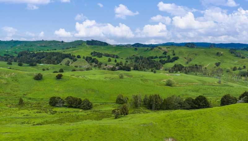 246 Allen and Eyre Road, Onewhero