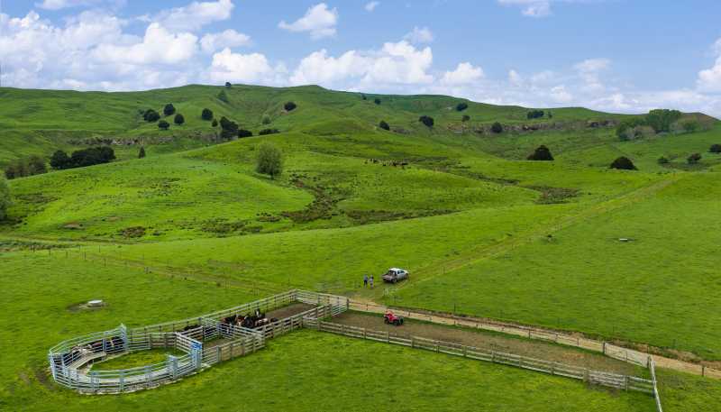 246 Allen and Eyre Road, Onewhero
