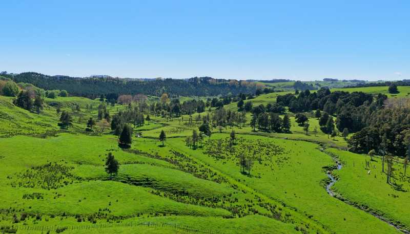 246 Allen and Eyre Road, Onewhero