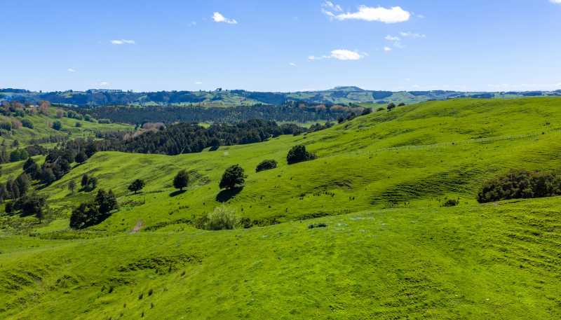 246 Allen and Eyre Road, Onewhero
